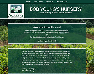 Bob Young's Website